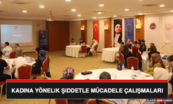 Kadına Yönelik Şiddetle Mücadele Çalışmaları