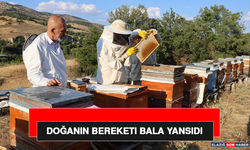 Doğanın Bereketi Bala Yansıdı