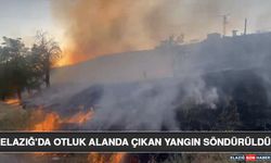 Elazığ'da Otluk Alanda Çıkan Yangın Söndürüldü