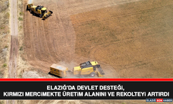 Elazığ'da Devlet Desteği, Kırmızı Mercimekte Üretim Alanını Ve Rekolteyi Artırdı