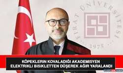 Köpeklerin Kovaladığı Akademisyen Elektrikli Bisikletten Düşerek Ağır Yaralandı