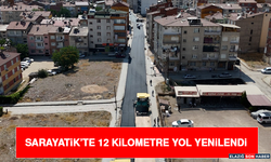 Sarayatik’te 12 Kilometre Yol Yenilendi