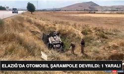 Elazığ’da Otomobil Şarampole Devrildi: 1 Yaralı