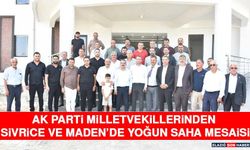 AK Parti Milletvekillerinden Sivrice ve Maden’de Yoğun Saha Mesaisi