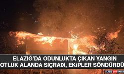 Elazığ’da Odunlukta Çıkan Yangın Otluk Alanda Sıçradı, Ekipler Söndürdü