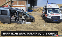Hafif Ticari Araç Tarlaya Uçtu:5 Yaralı
