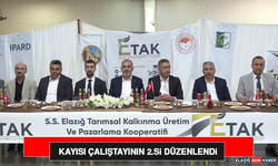 Kayısı Çalıştayının 2. Si Düzenlendi