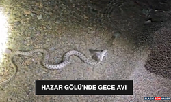 Hazar gölü’nde Gece Avı