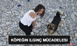 Köpeğin İlginç Mücadelesi