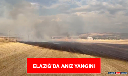 Elazığ’da Anız Yangını
