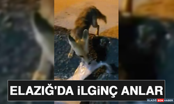 Elazığ'da İlginç Anlar