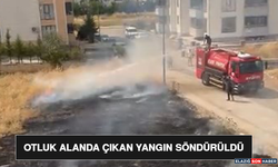 Otluk Alanda Çıkan Yangın Söndürüldü
