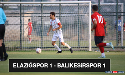Elazığspor 1 - Balıkesirspor 1