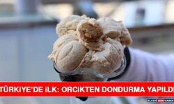 Türkiye’de İlk: Orcikten Dondurma Yapıldı