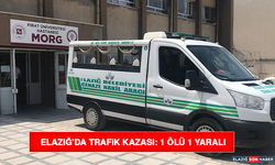 Elazığ’da Trafik Kazası: 1 Ölü 1 Yaralı