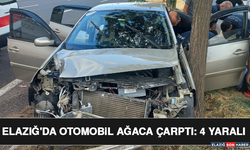 Elazığ'da Otomobil Ağaca Çarptı: 4 Yaralı