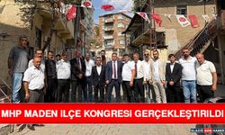 MHP Maden İlçe Kongresi Gerçekleştirildi
