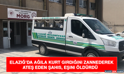 Elazığ’da Ağıla Kurt Girdiğini Zannederek Ateş Eden Şahıs, Eşini Öldürdü