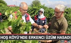 Hoş Köyü’nde Erkenci Üzüm Hasadı