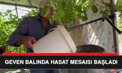 Geven Balında Hasat Mesaisi Başladı