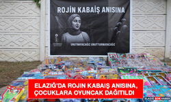 Elazığ'da Rojin Kabaiş Anısına, Çocuklara Oyuncak Dağıtıldı
