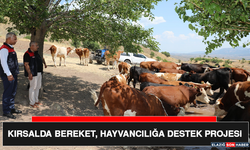 Kırsalda Bereket, Hayvancılığa Destek Projesi