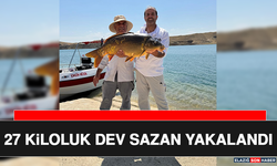 27 Kiloluk Dev Sazan Yakalandı