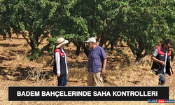 Ağın’da Badem Bahçelerinde Saha Kontrolleri