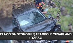 Elazığ’da Otomobil Şarampole Yuvarlandı: 1 Yaralı