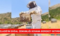 Elazığ'ın Doğal Zenginliği Kovana Bereket Getirdi