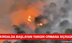 Kırsalda Başlayan Yangın Ormana Sıçradı