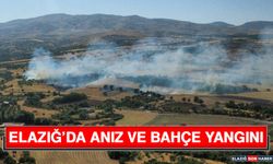 Elazığ’da Anız ve Bahçe Yangını