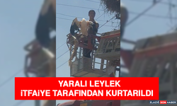 Yaralı Leylek İtfaiye Tarafından Kurtarıldı
