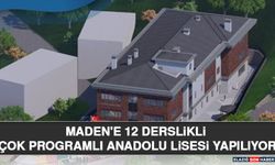Maden'e 12 Derslikli Çok Programlı Anadolu Lisesi Yapılıyor