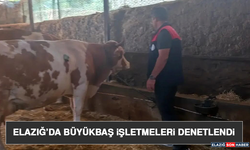 Elazığ’da Büyükbaş İşletmeleri Denetlendi
