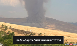 Bağlıağaç’ta Örtü Yangını Büyüyor