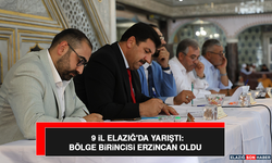 9 İl Elazığ'da Yarıştı: Bölge Birincisi Erzincan Oldu