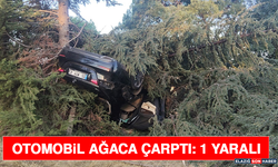 Otomobil Ağaca Çarptı: 1 Yaralı