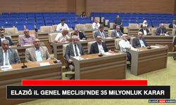 Elazığ İl Genel Meclisi’nde 35 Milyonluk Karar