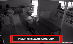 Pişkin Hırsızlar Kamerada