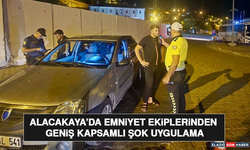 Alacakaya’da Emniyet Ekiplerinden Geniş Kapsamlı Şok Uygulama