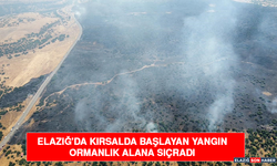 Elazığ'da Kırsalda Başlayan Yangın Ormanlık Alana Sıçradı