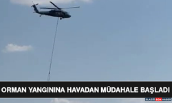 Orman Yangınına Havadan Müdahale Başladı