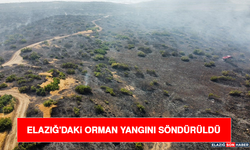 Elazığ'daki Orman Yangını Söndürüldü