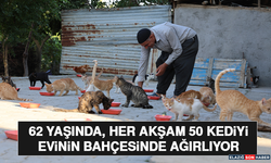 62 Yaşında, Her Akşam 50 Kediyi Evinin Bahçesinde Ağırlıyor