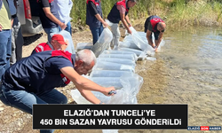 Elazığ’dan Tunceli’ye 450 Bin Sazan Yavrusu Gönderildi