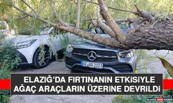 Elazığ’da Fırtınanın Etkisiyle Ağaç Araçların Üzerine Devrildi