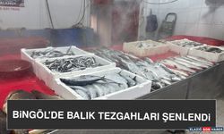 Bingöl'de Balık Tezgahları Şenlendi