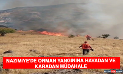 Nazımiye'de Orman Yangınına Havadan Ve Karadan Müdahale