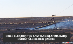 Dicle Elektrik'ten Anız Yangınlarına Karşı Sürdürülebilirlik Çağrısı